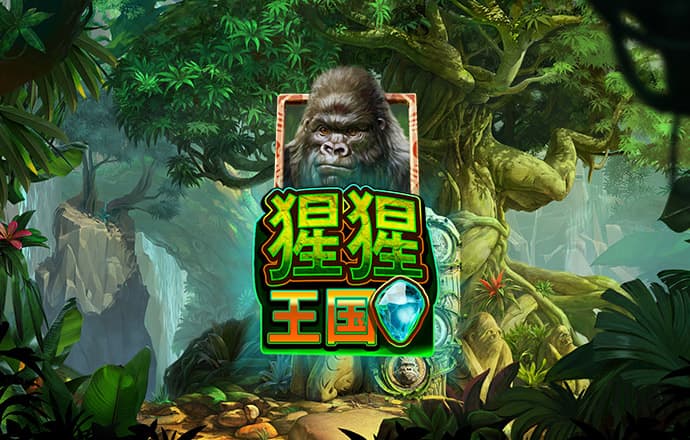 OB体育官网入口
